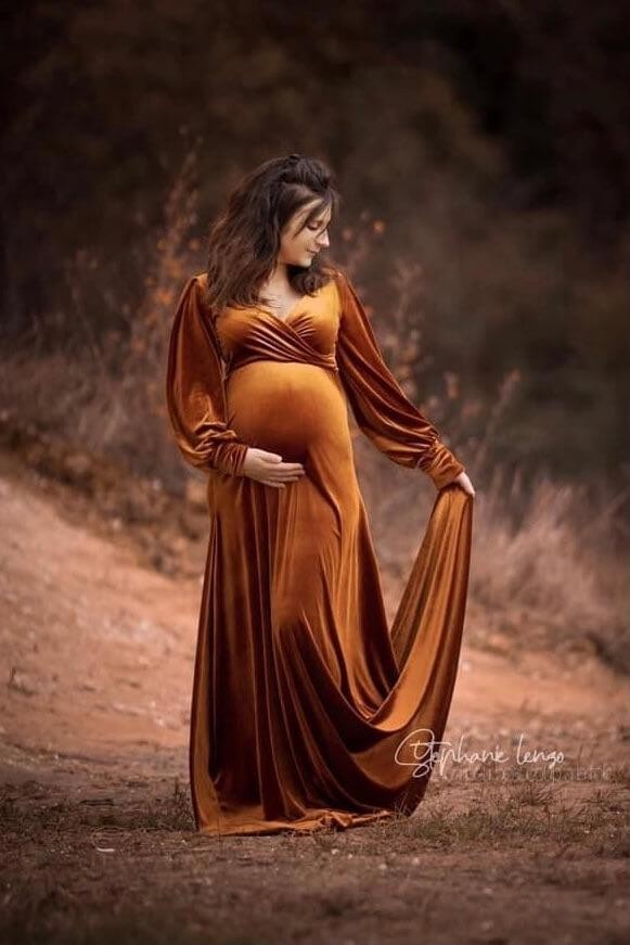 clivia-cognac-velvet-renaissance-maternity-gown